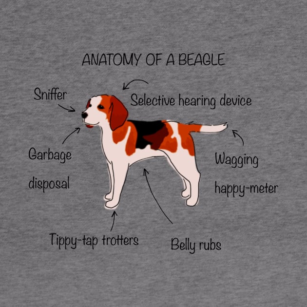 Anatomy of a beagle by bumblebeebuiscut